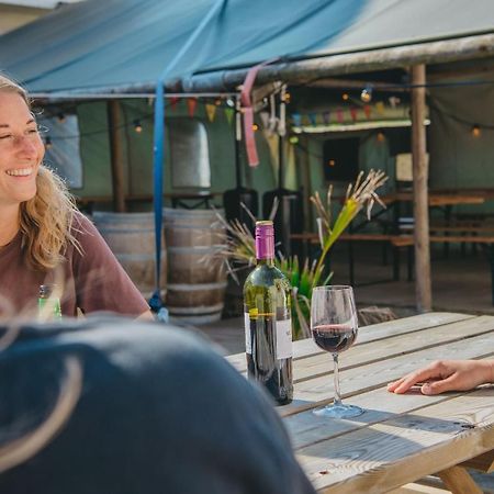 Family & Surfhostel Petten Bagian luar foto