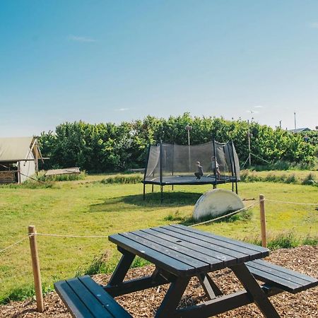 Family & Surfhostel Petten Bagian luar foto